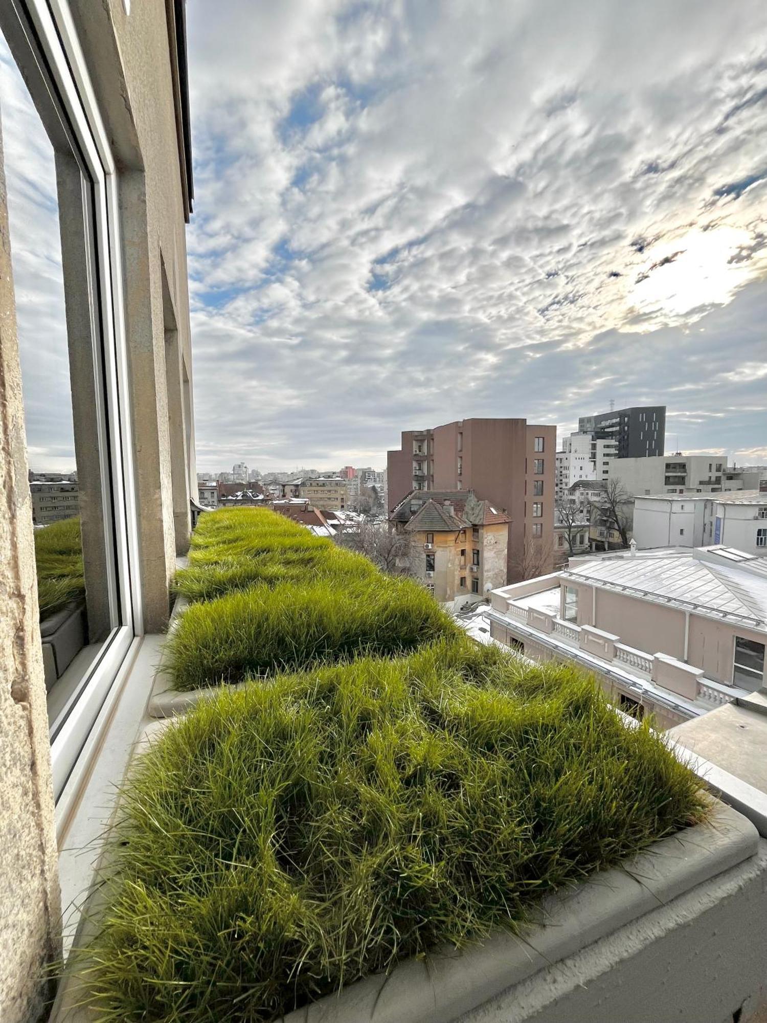 Appartement Terrace View Downtown